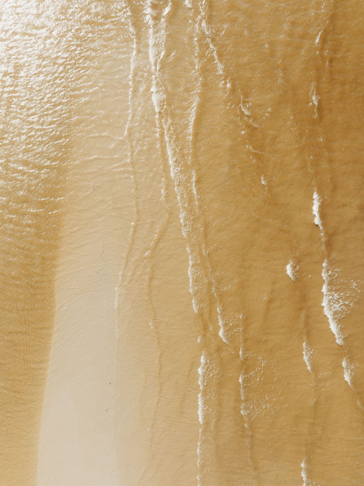 הניסוי הקליני במרכז הרפואי שיבא, שנועד להעריך את יעילות האפליקציה שפותחה על ידי המרכז בשיתוף עם SequelCare, יצא לדרך באופן רשמי!