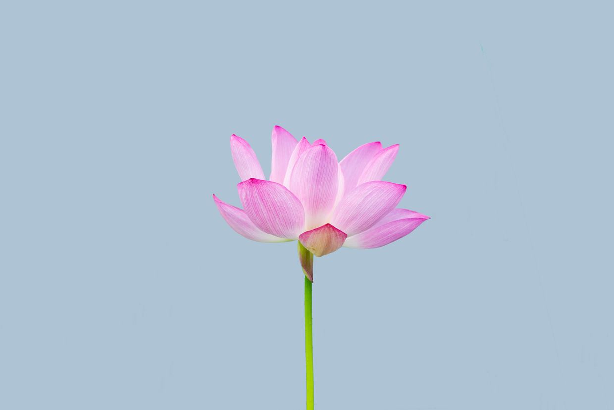 "טראומה והחלמה" – הפודקאסט החדש שלנו עלה לאוויר!